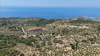 Αγροτεμάχια 3.854 τ.μ. για πώληση