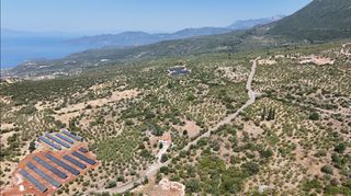 Αγροτεμάχια 3.854 τ.μ. προς πώληση, Πύργος Λεύκτρου-thumb-10
