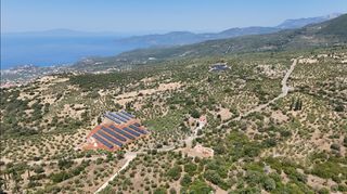 Αγροτεμάχια 3.854 τ.μ. προς πώληση, Πύργος Λεύκτρου-thumb-13