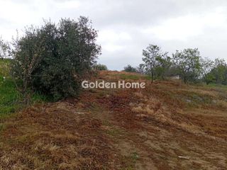 Οικόπεδο 1.584 τ.μ. για πώληση, Εύβοια, Αιδηψός-thumb-5