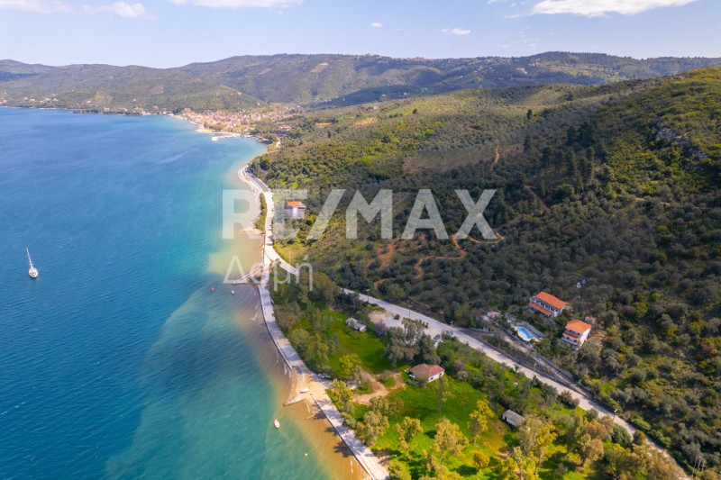 Αγροτεμάχια 6.571 τ.μ. προς πώληση, Μαγνησία, Σηπιάδα