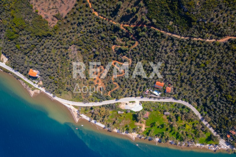 Αγροτεμάχια 6.571 τ.μ. προς πώληση, Μαγνησία, Σηπιάδα