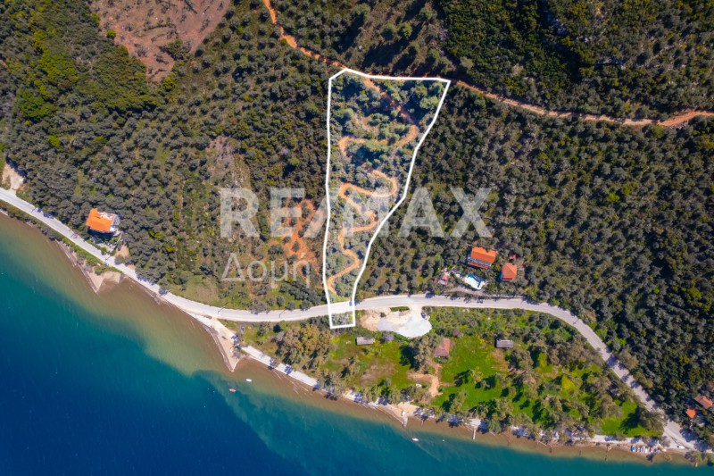 Αγροτεμάχια 6.571 τ.μ. προς πώληση, Μαγνησία, Σηπιάδα
