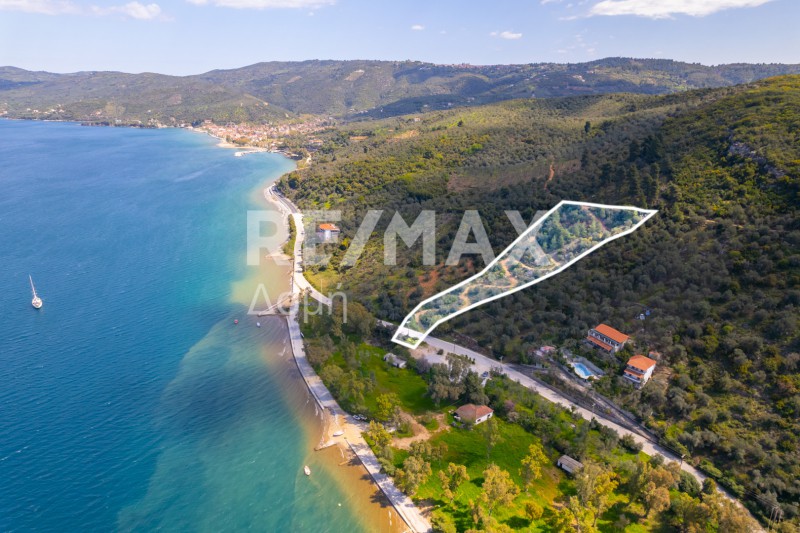 Αγροτεμάχια 6.571 τ.μ. προς πώληση, Μαγνησία, Σηπιάδα