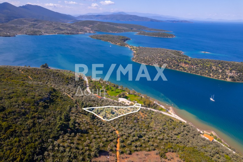Αγροτεμάχια 6.571 τ.μ. προς πώληση, Μαγνησία, Σηπιάδα