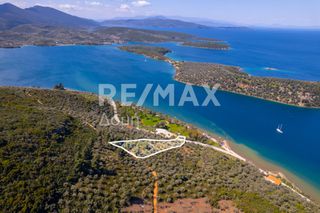Αγροτεμάχια 6.571 τ.μ. για πώληση