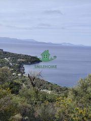 Οικόπεδο 5.500 τ.μ. για πώληση