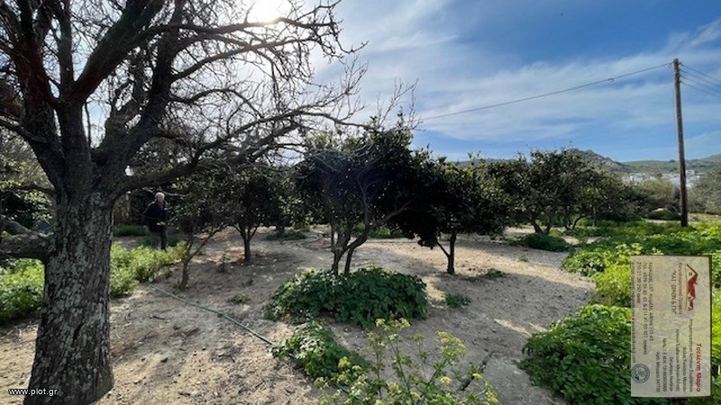 Αγροτεμάχια 331 τ.μ. πρός πώληση, Κυκλάδες, Νάξος