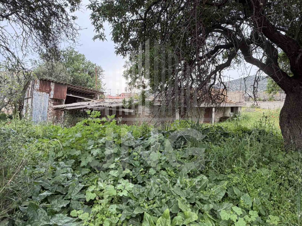 Οικόπεδο 418 τ.μ. πρός πώληση, Αθήνα - Ανατολικά Προάστια, Κορωπί