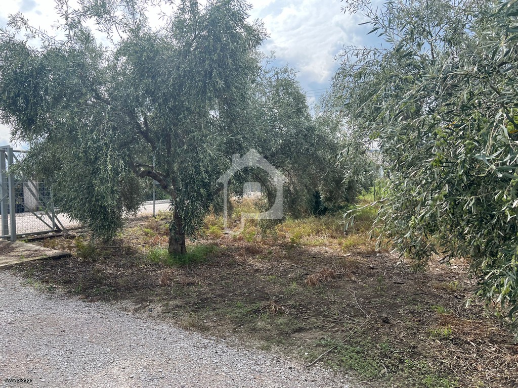 Οικόπεδο 1.140 τ.μ. προς πώληση, Κέντρο Μώλου