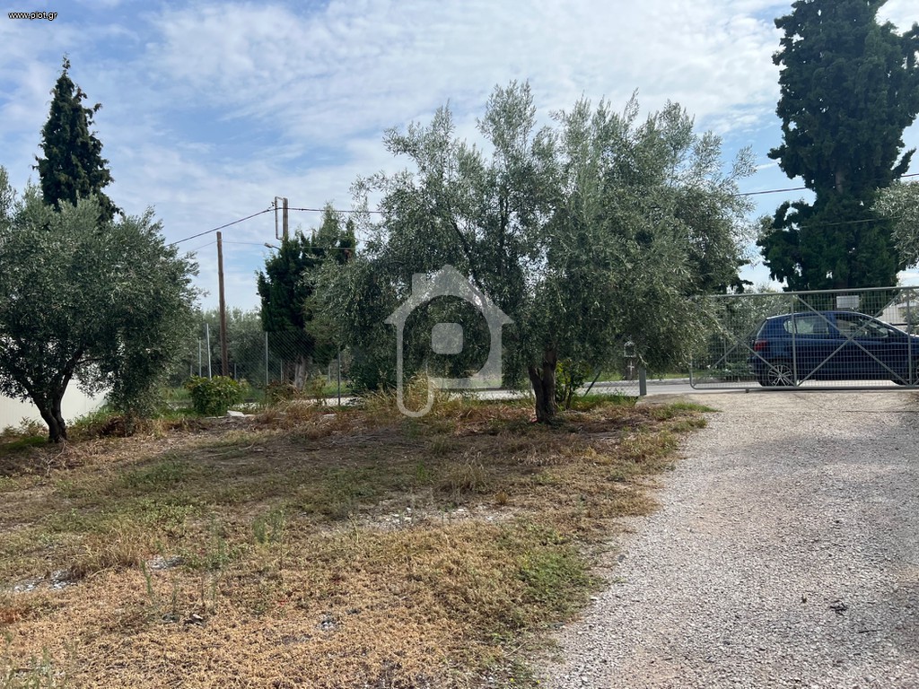 Οικόπεδο 1.140 τ.μ. προς πώληση, Κέντρο Μώλου