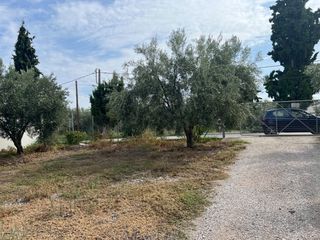 Οικόπεδο 1.140 τ.μ. προς πώληση, Κέντρο Μώλου-thumb-3