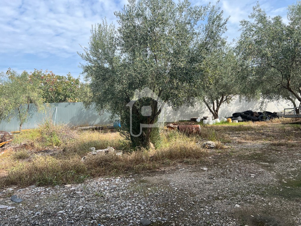 Οικόπεδο 1.140 τ.μ. προς πώληση, Κέντρο Μώλου