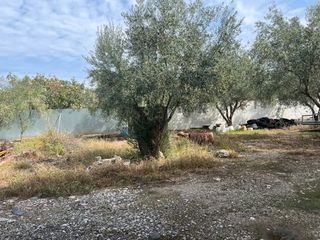 Οικόπεδο 1.140 τ.μ. προς πώληση, Κέντρο Μώλου-thumb-4
