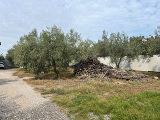 Οικόπεδο 1.140 τ.μ. προς πώληση, Κέντρο Μώλου-thumb-5