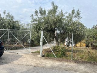 Οικόπεδο 1.140 τ.μ. προς πώληση, Κέντρο Μώλου-thumb-6