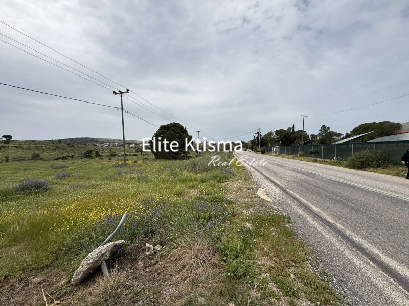 Αγροτεμάχια 5.194 τ.μ. πρός πώληση, Αττική - Υπόλοιπο, Κερατέα