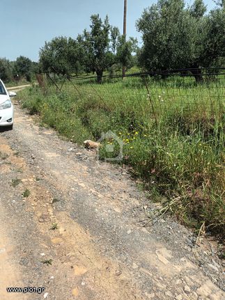 Αγροτεμάχια 9.172 τ.μ. για πώληση, Μεσσηνία, Μελιγαλά