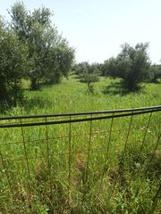Αγροτεμάχια 9.172 τ.μ. για πώληση, Μεσσηνία, Μελιγαλά-thumb-2
