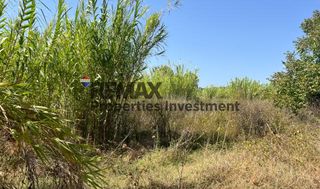 Αγροτεμάχια 6.026 τ.μ. προς πώληση, Ανάληψη Μεσσήνης-thumb-1