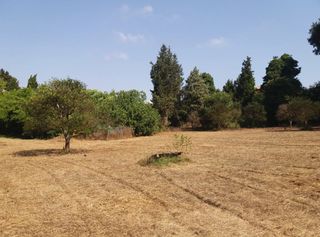 Οικόπεδο 4.000 τ.μ. για ενοικίαση, Ν. Κέρκυρας, Κέρκυρα-thumb-2