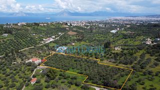 Αγροτεμάχια 9.810 τ.μ. πρός πώληση, Αχαΐα, Παραλία-thumb-2
