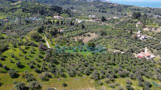 Αγροτεμάχια 9.810 τ.μ. πρός πώληση, Αχαΐα, Παραλία-thumb-8