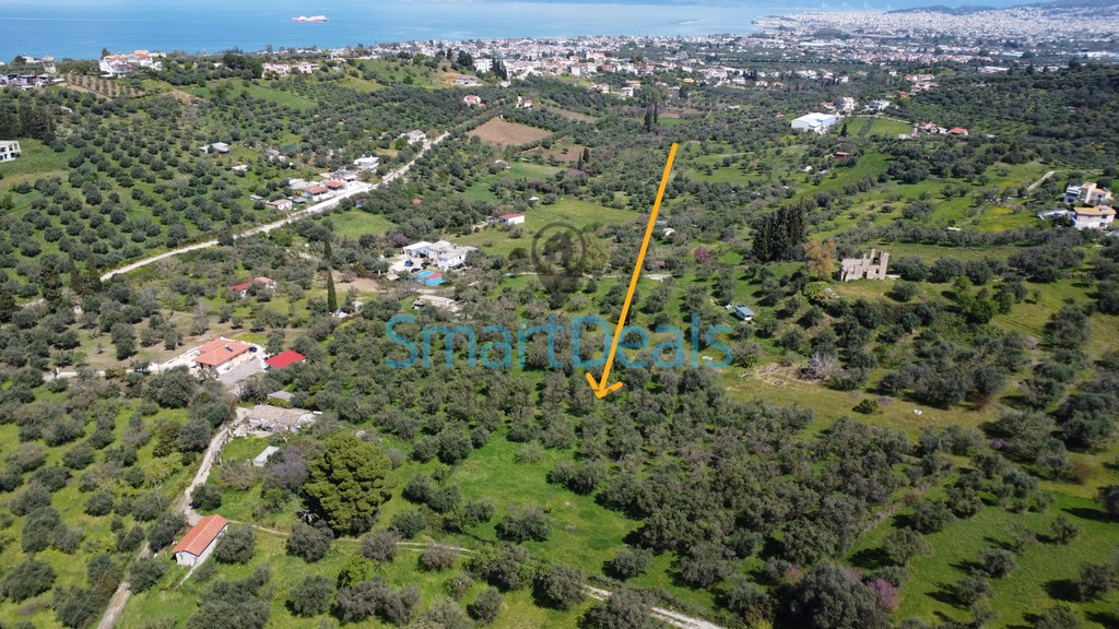 Αγροτεμάχια 9.810 τ.μ. πρός πώληση, Αχαΐα, Παραλία