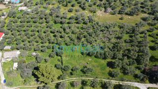 Αγροτεμάχια 9.810 τ.μ. πρός πώληση, Αχαΐα, Παραλία-thumb-6
