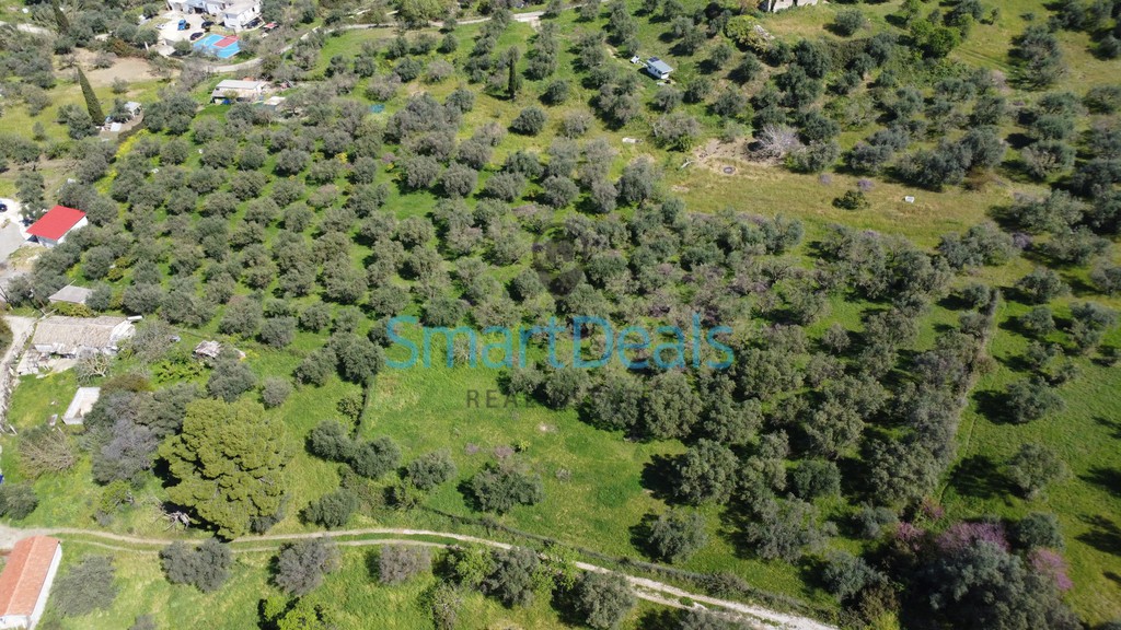 Αγροτεμάχια 9.810 τ.μ. πρός πώληση, Αχαΐα, Παραλία