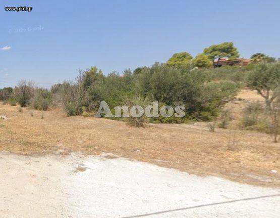 Οικόπεδο 4.376 τ.μ. για πώληση, Αθήνα - Ανατολικά Προάστια, Ανθούσα