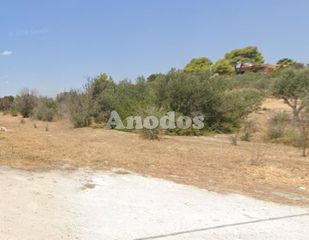 Οικόπεδο 4.376 τ.μ. για πώληση, Αθήνα - Ανατολικά Προάστια, Ανθούσα-thumb-10