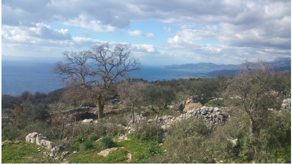 Land plot 1.103,96 sqm for sale, Messinia, Lefktros