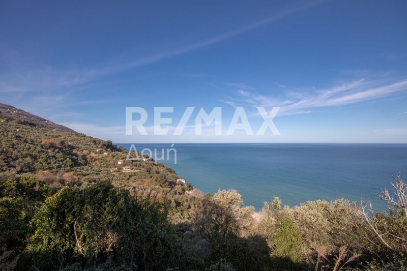 Αγροτεμάχια 7.412 τ.μ. προς πώληση, Χορευτό