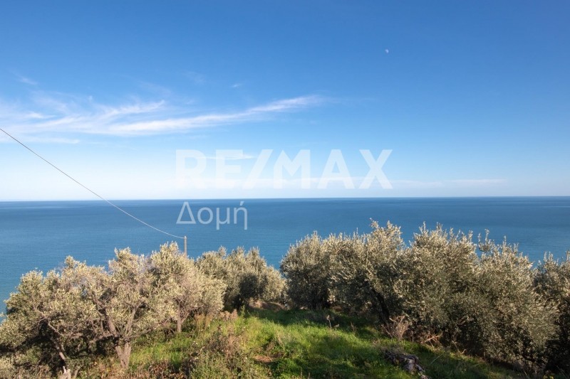 Αγροτεμάχια 7.412 τ.μ. προς πώληση, Χορευτό