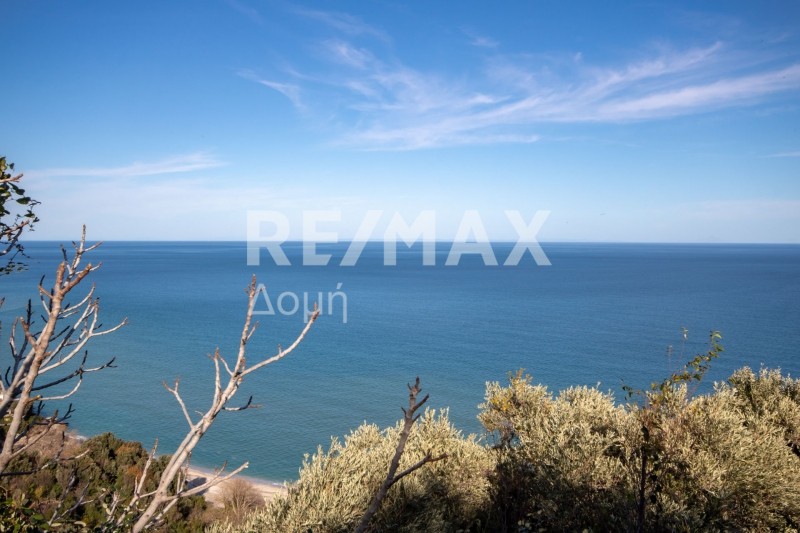 Αγροτεμάχια 7.412 τ.μ. προς πώληση, Χορευτό
