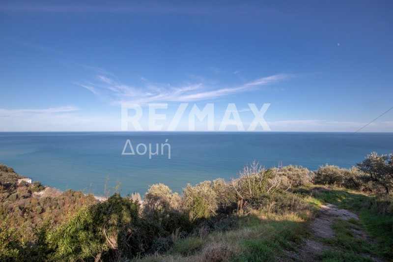 Αγροτεμάχια 7.412 τ.μ. προς πώληση, Χορευτό