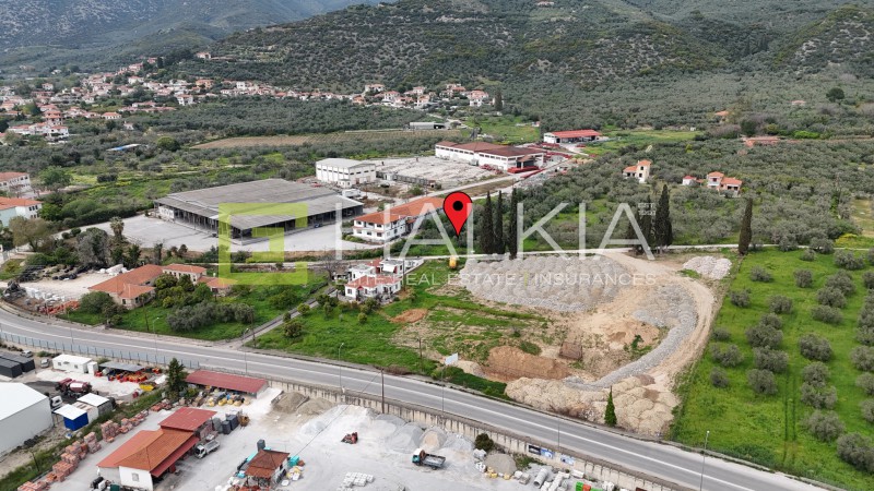 Αγροτεμάχια 3.122 τ.μ. πρός πώληση, Μαγνησία, Αρτέμιδα
