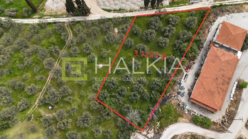 Αγροτεμάχια 3.122 τ.μ. πρός πώληση, Μαγνησία, Αρτέμιδα
