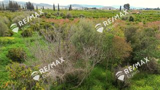 Οικόπεδο 1.405 τ.μ. για πώληση, Αργολίδα, Ασίνη-thumb-25