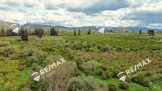 Οικόπεδο 1.405 τ.μ. για πώληση, Αργολίδα, Ασίνη-thumb-13