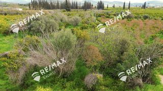 Οικόπεδο 1.405 τ.μ. για πώληση, Αργολίδα, Ασίνη-thumb-21