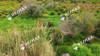 Οικόπεδο 2.810 τ.μ. για πώληση, Αργολίδα, Ασίνη-thumb-24