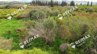 Οικόπεδο 2.810 τ.μ. για πώληση, Αργολίδα, Ασίνη-thumb-22