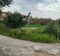 Αγροτεμάχια 819 τ.μ. για πώληση