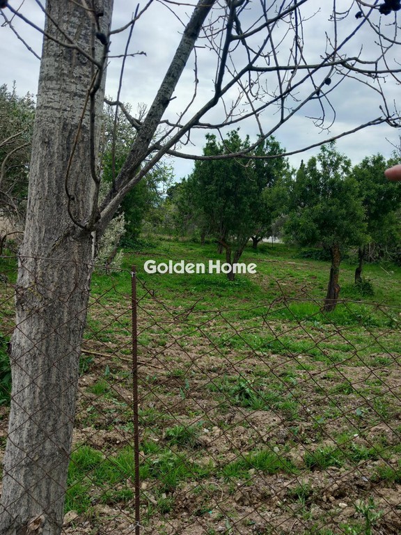 Αγροτεμάχια 3.130 τ.μ. προς πώληση, Κουκάκι Αμαρύνθου