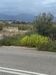 Οικόπεδο 3.408 τ.μ. για πώληση, Αχαΐα, Ερίνεο-thumb-6