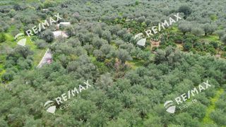 Αγροτεμάχια 1.800 τ.μ. για πώληση, Αρκαδία, Λεωνίδιο-thumb-16