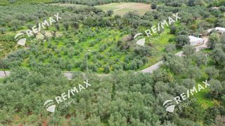 Αγροτεμάχια 1.800 τ.μ. για πώληση, Αρκαδία, Λεωνίδιο-thumb-14