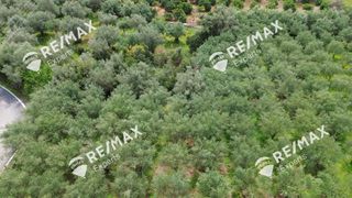 Αγροτεμάχια 1.800 τ.μ. για πώληση, Αρκαδία, Λεωνίδιο-thumb-19